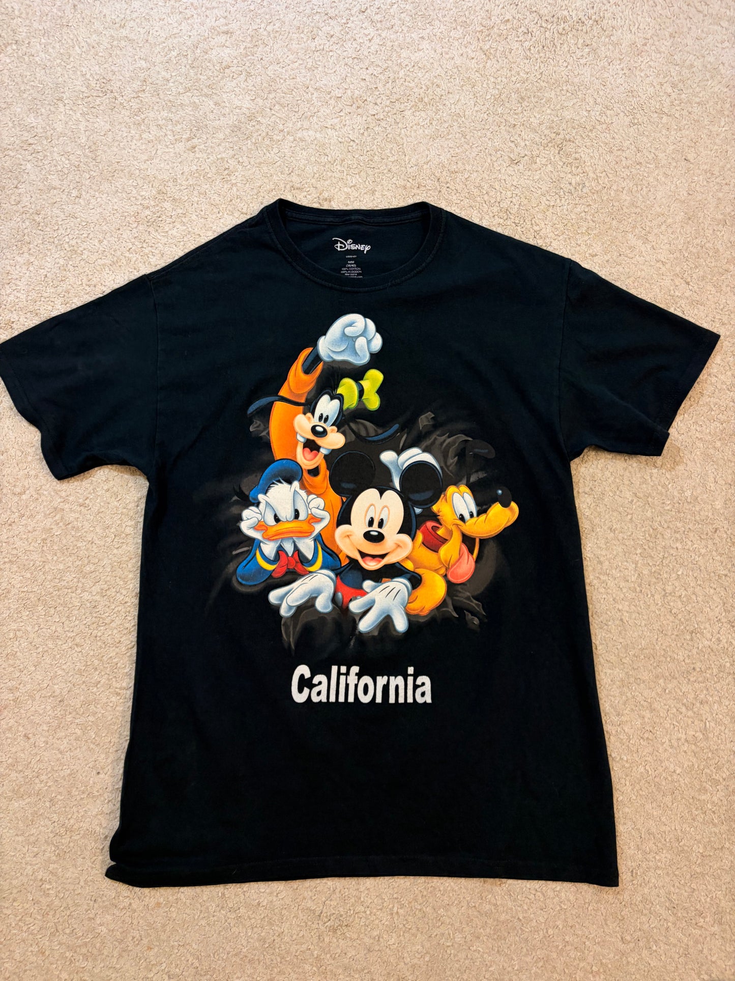 T-shirt Disneyland Resort California Mickey & Friends Noir – Taille M | Seconde Main