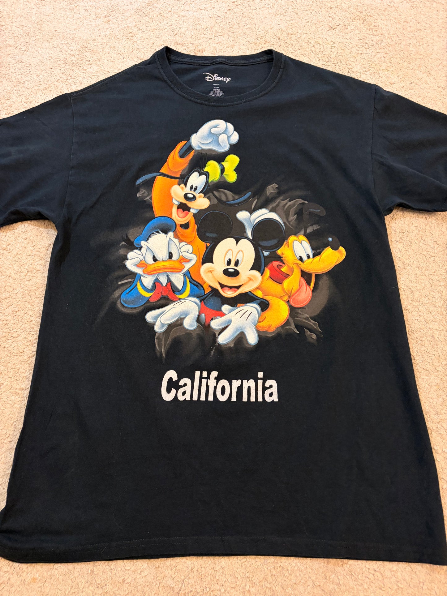 T-shirt Disneyland Resort California Mickey & Friends Noir – Taille M | Seconde Main