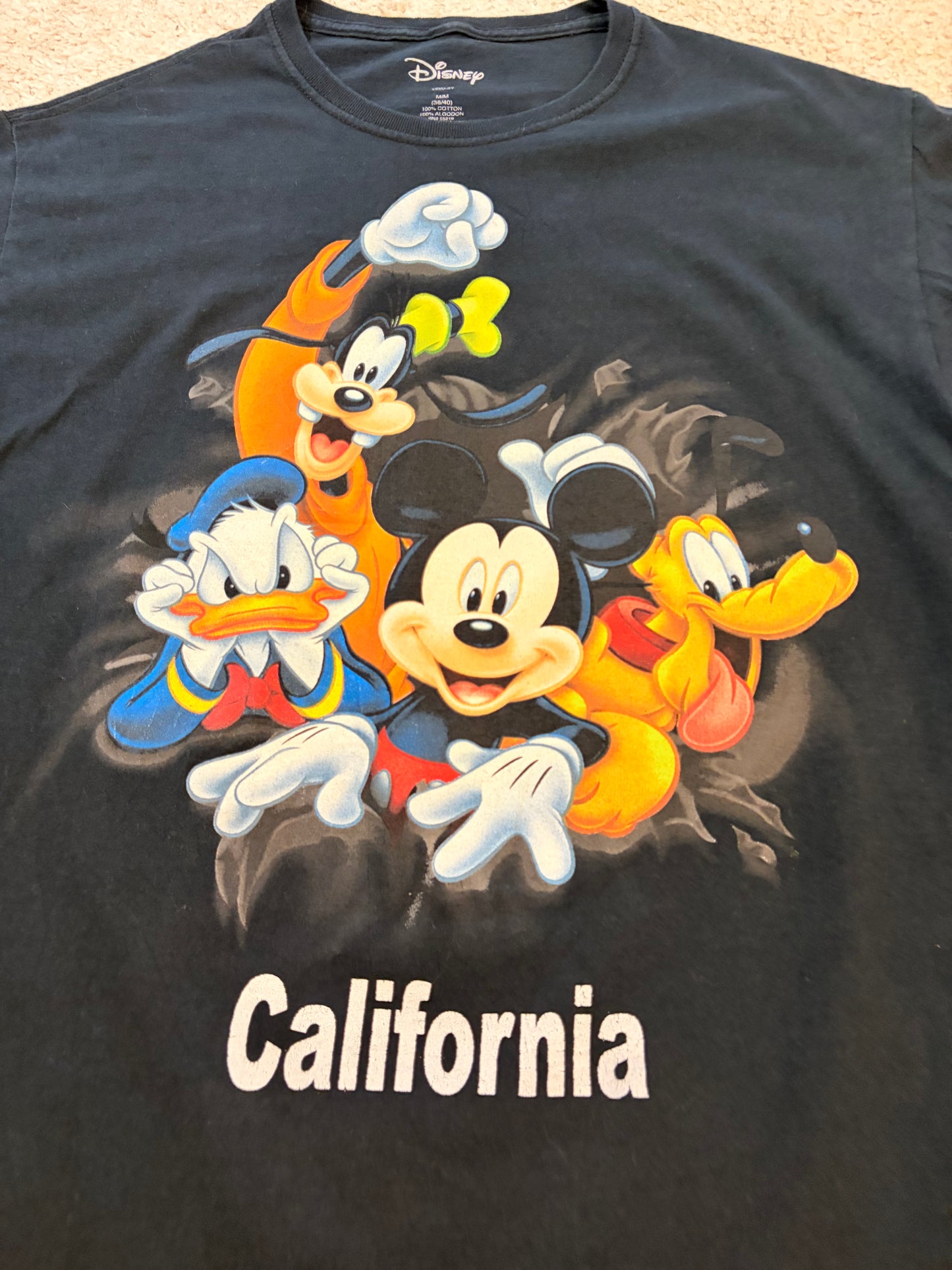 T-shirt Disneyland Resort California Mickey & Friends Noir – Taille M | Seconde Main