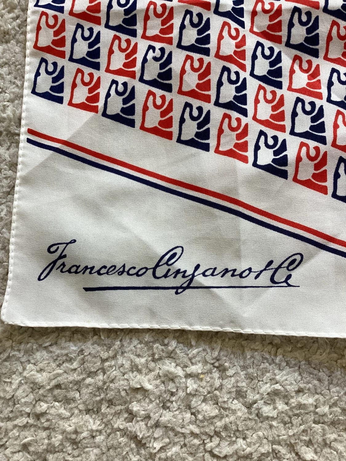 🌸 Écharpe Francesco Cinzanotte - Femme