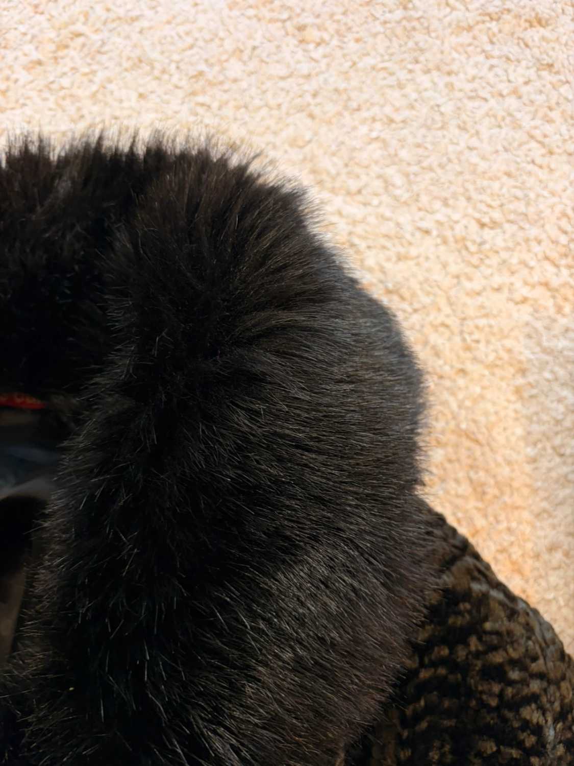 🐺🧥 Manteau Pierre Cardin "Wolves" Noir Fausse Fourrure - Audacieux & Chaud