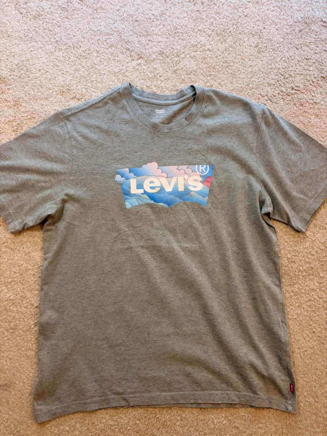 📜 T-shirt Levi’s Relaxed Fit Imprimé Gris - Authentique & Confortable