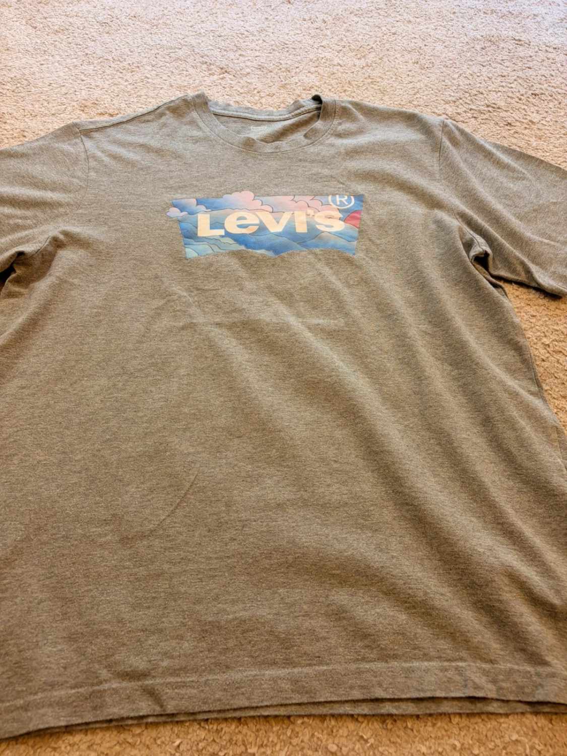 📜 T-shirt Levi’s Relaxed Fit Imprimé Gris - Authentique & Confortable