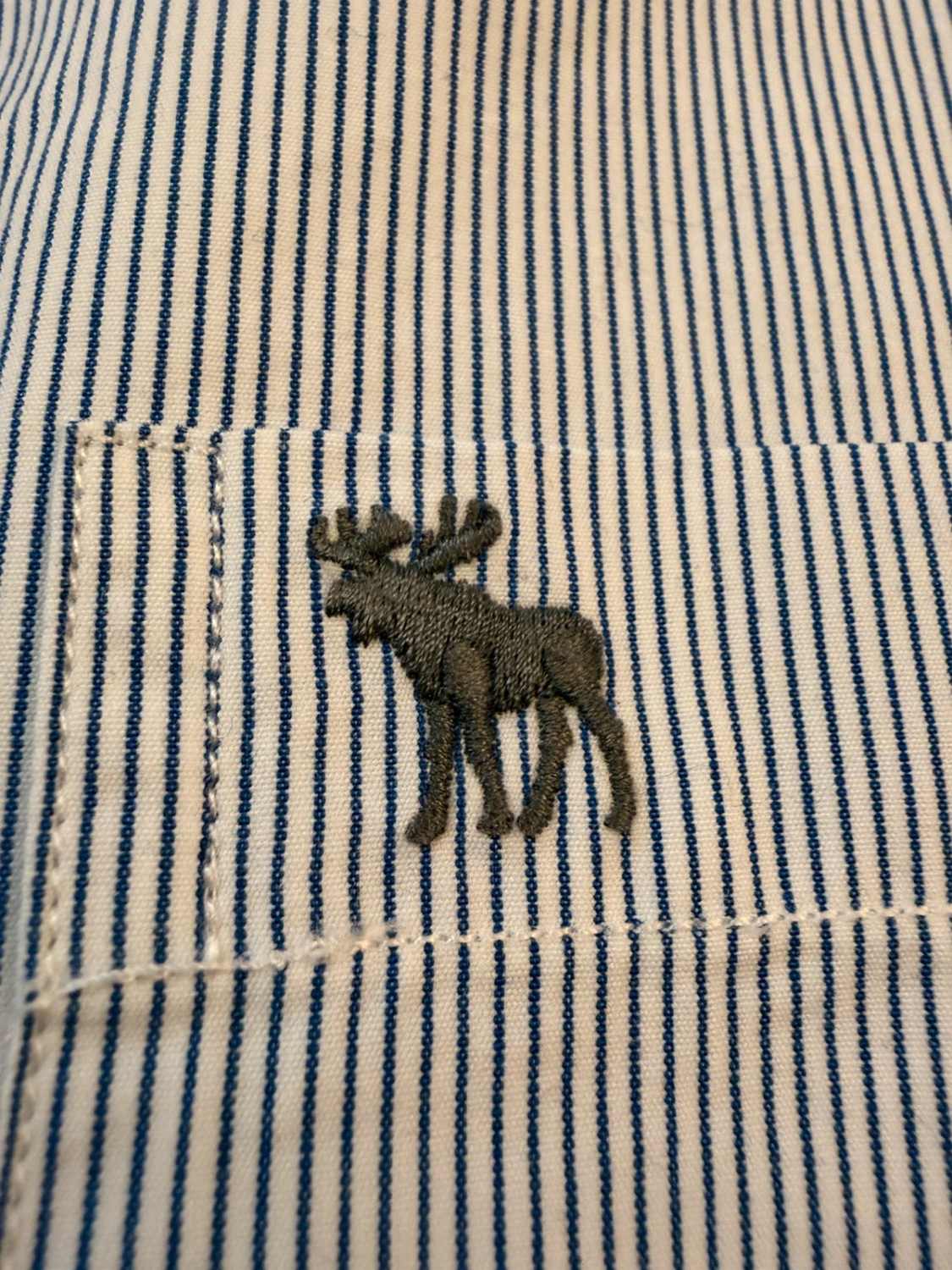 🔵 Chemise Abercrombie & Fitch à Rayures - Élégance Décontractée