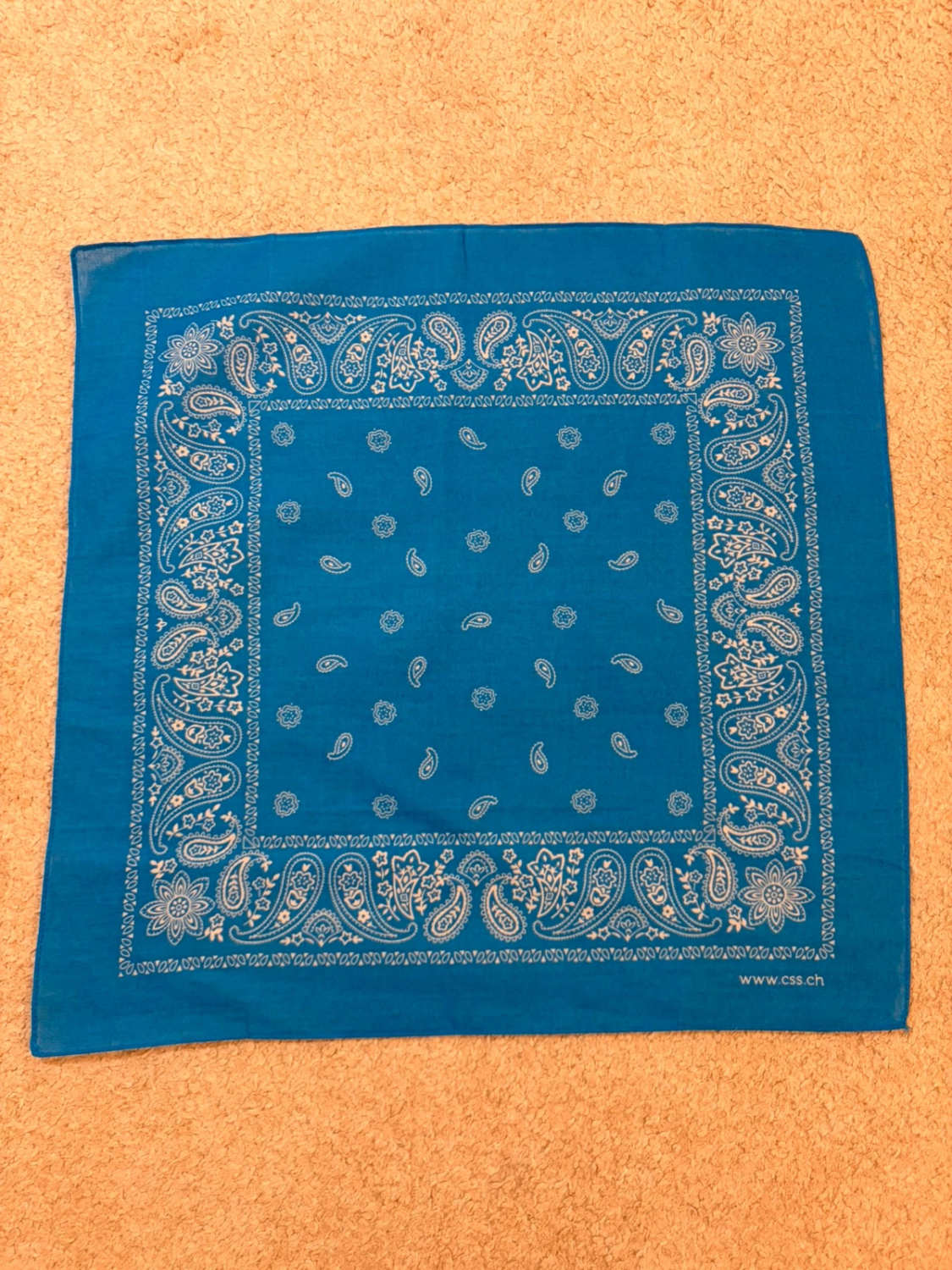 🧣 Bandana Bleu & Blanc - 52x51 cm