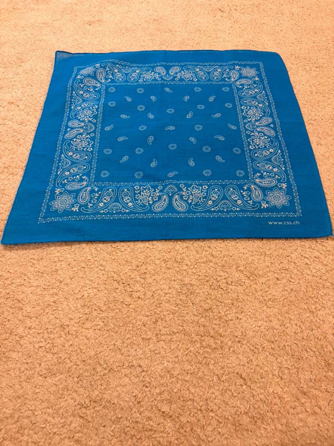 🧣 Bandana Bleu & Blanc - 52x51 cm